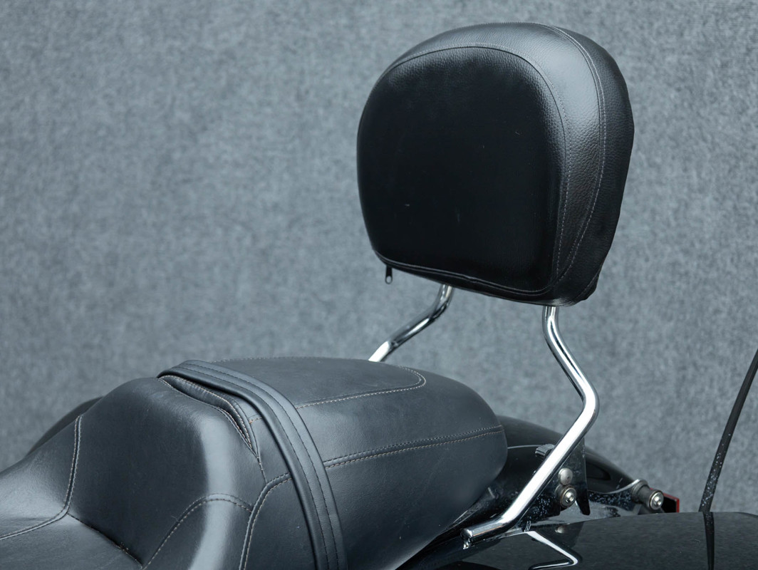 Street Glide® Special