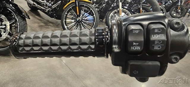 Softail® Fat Boy® Lo