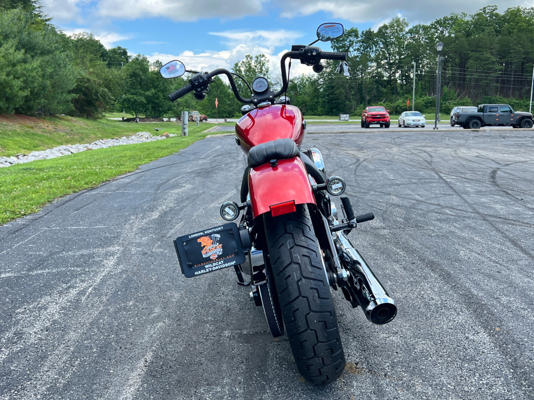 Street Bob®