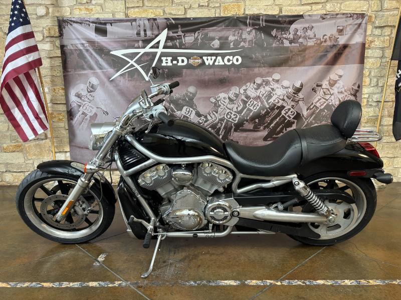 V-Rod® - Silver/Gray Frame