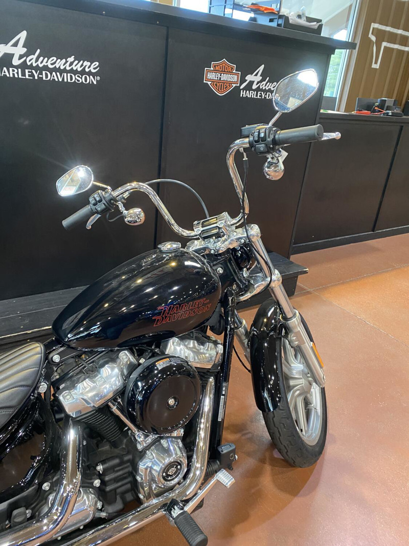 Softail® Standard