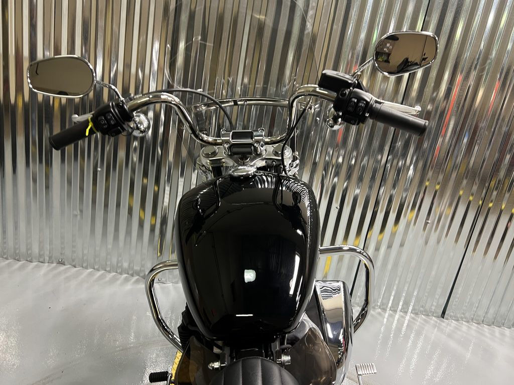 Softail® Standard