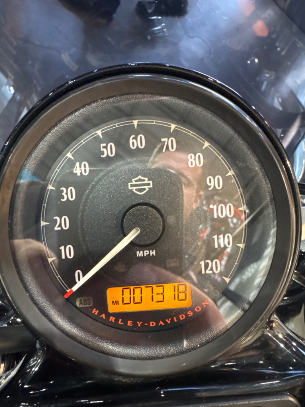 Sportster® Forty-Eight®