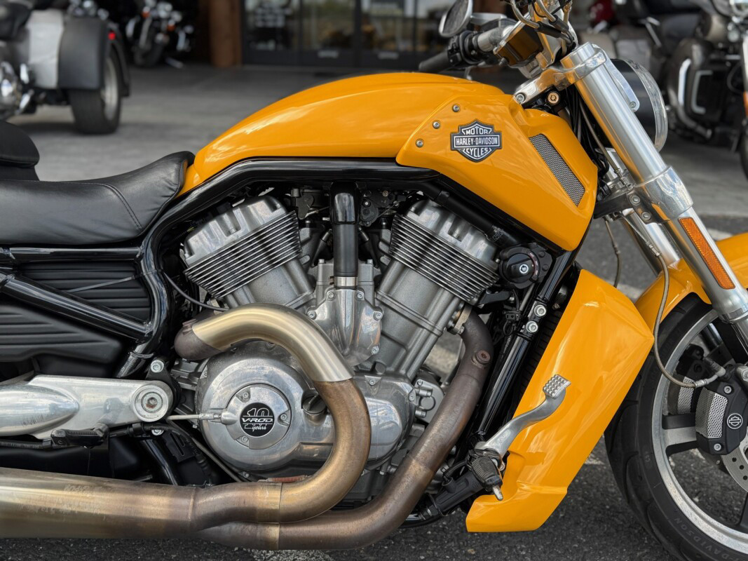 V-Rod® Muscle®