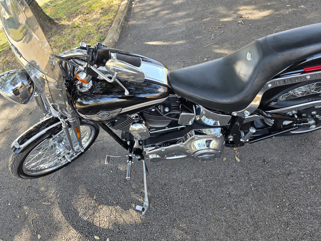 Springer® Softail® Anniversary