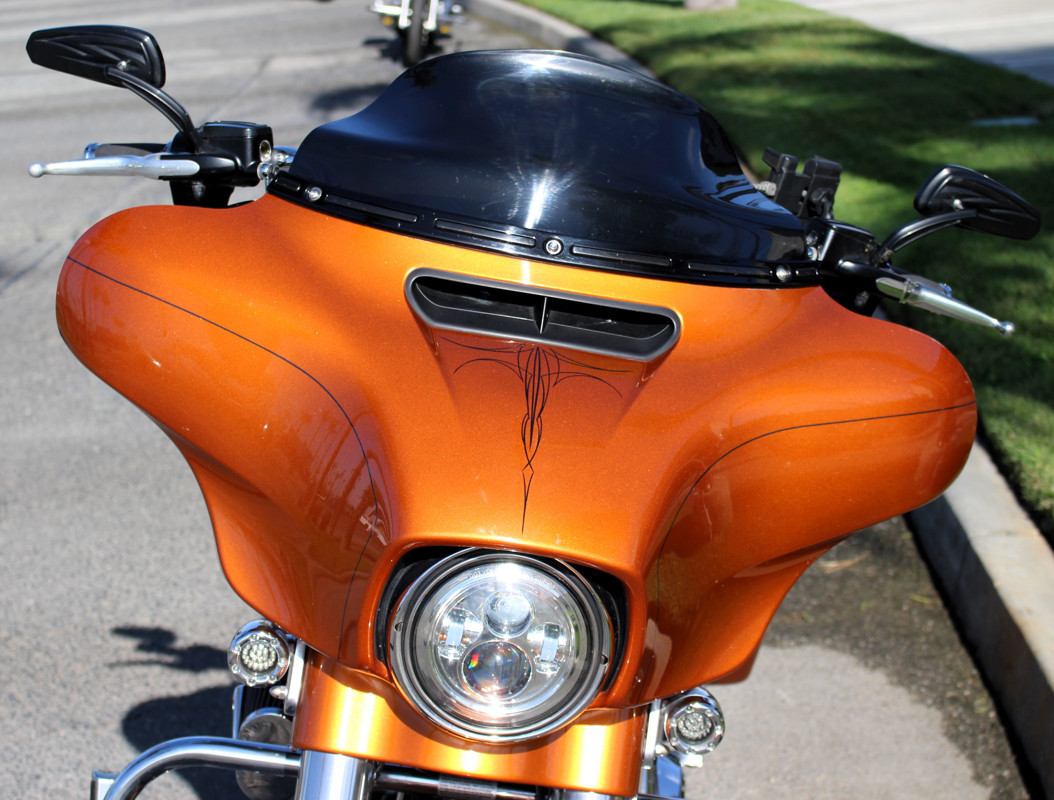 Street Glide® Special