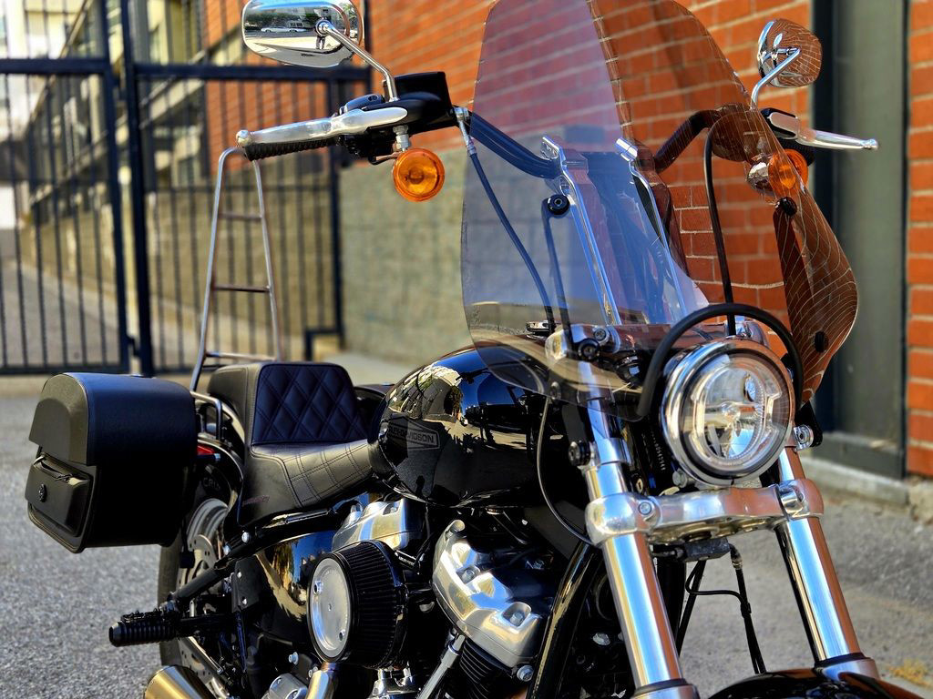 Softail® Standard