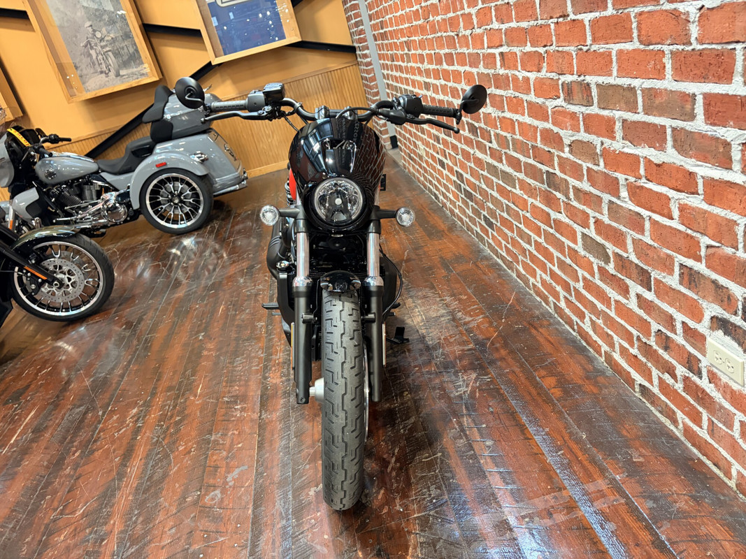 Nightster Special