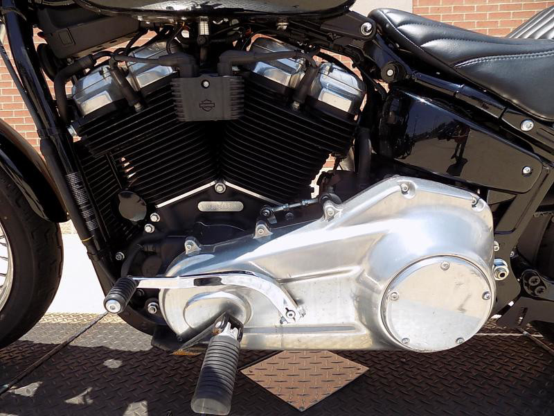 Softail® Standard