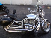 V-Rod®