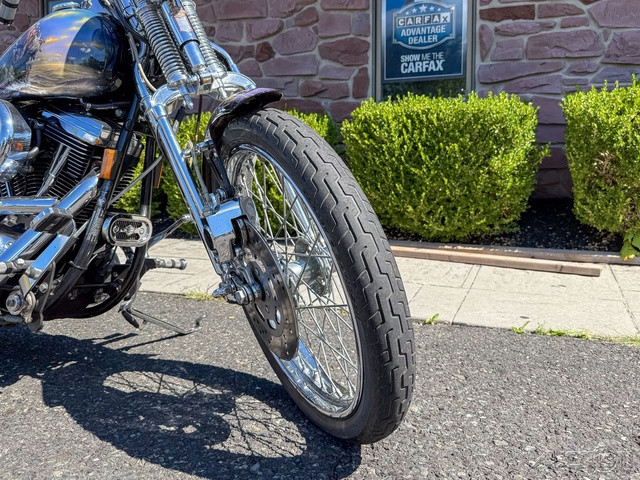 Springer® Softail®