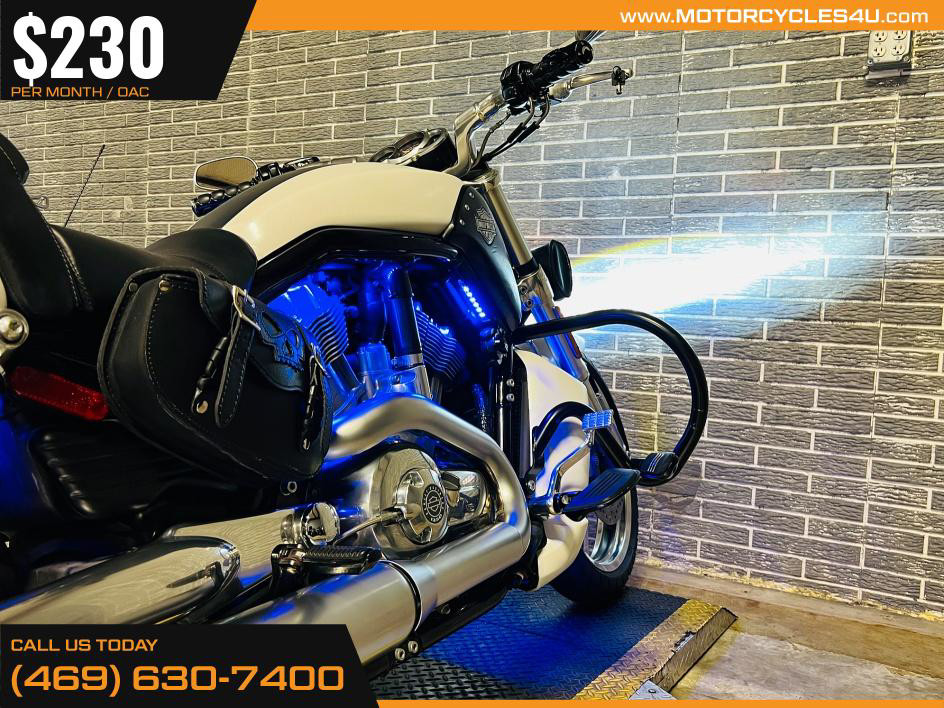 V-Rod® Muscle