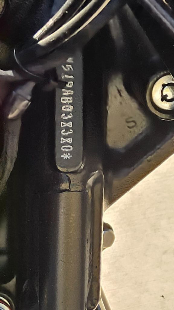 Softail® Fat Boy® Lo