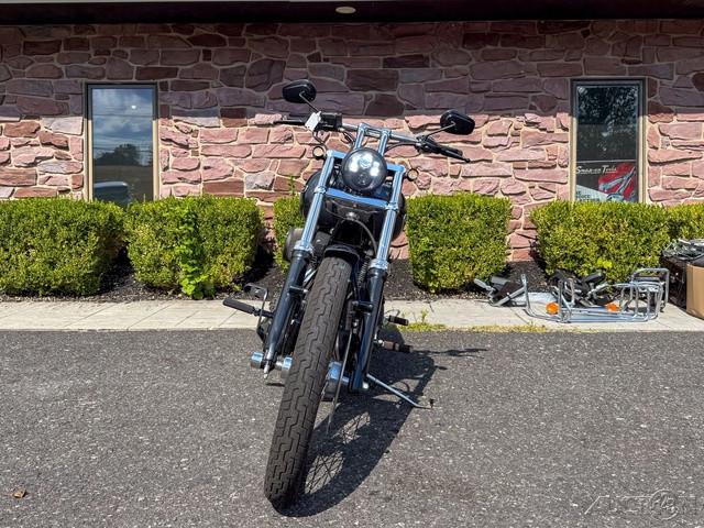 Softail® Night Train®