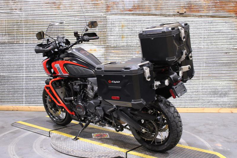 CVO® Pan America®