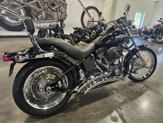 Softail® Night Train®