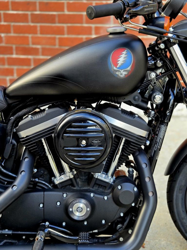Sportster® Iron 883®