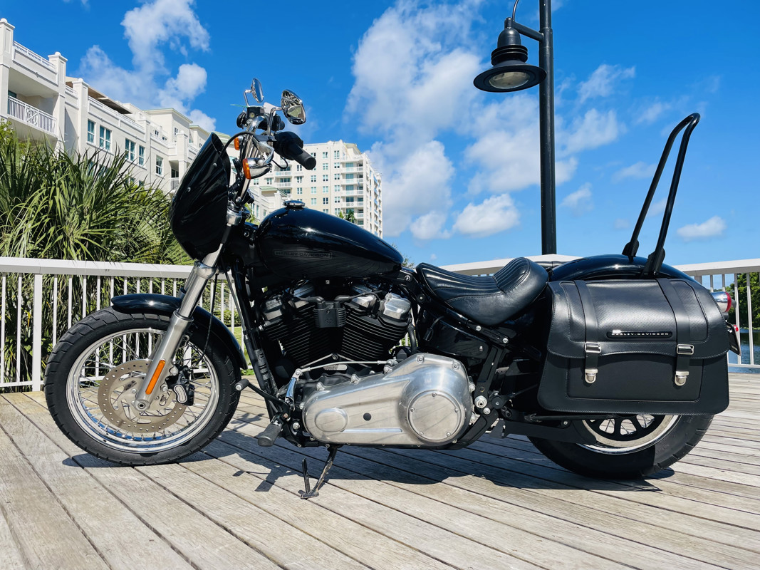 Softail® Standard