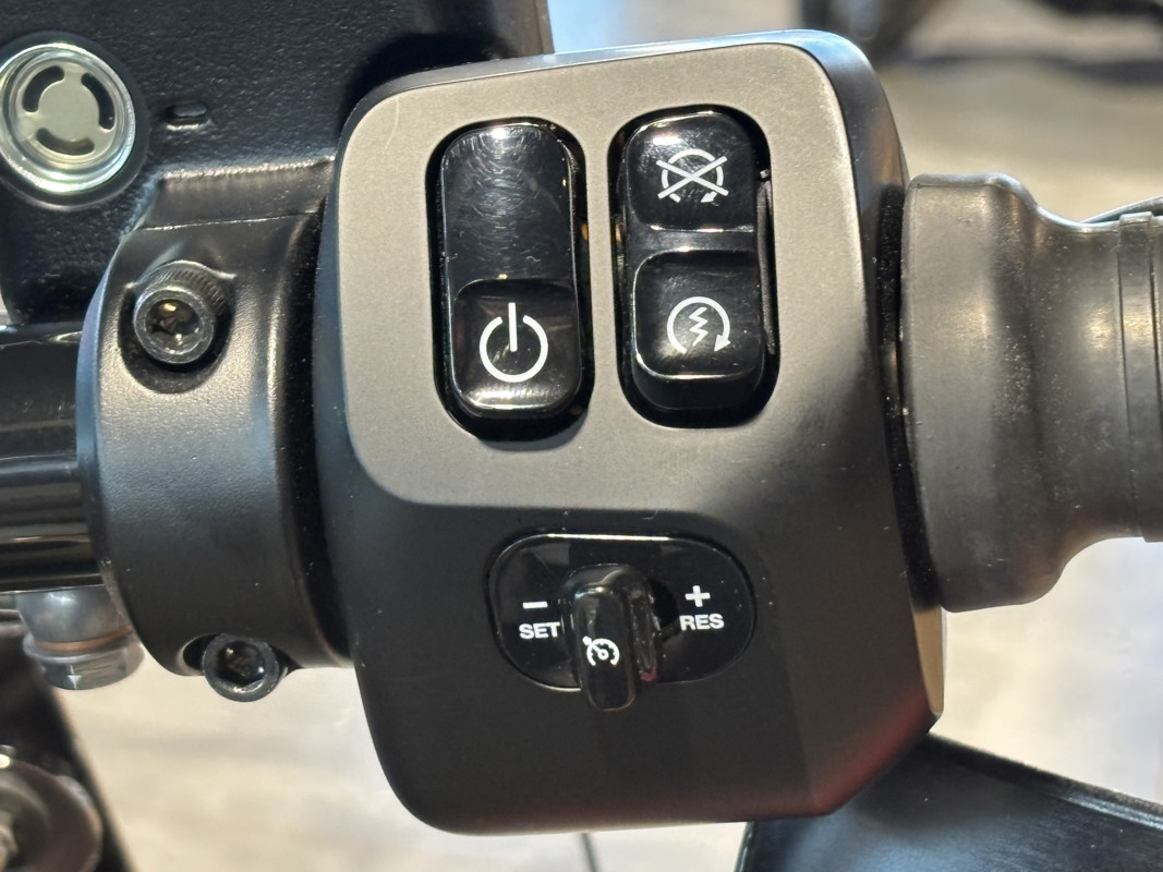 Springfield Dark Horse