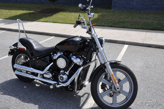 Softail® Standard