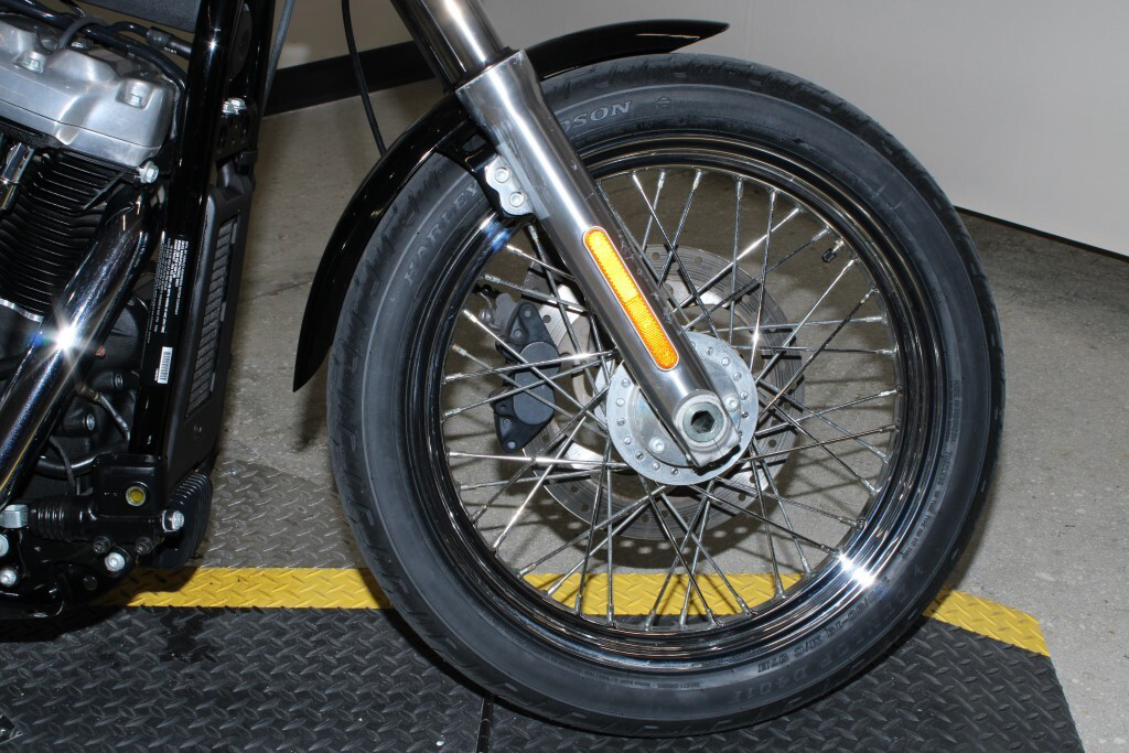 Softail® Standard