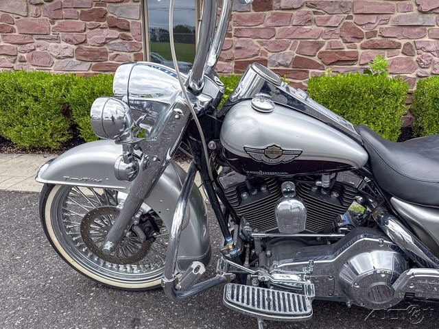Road King® Anniversary