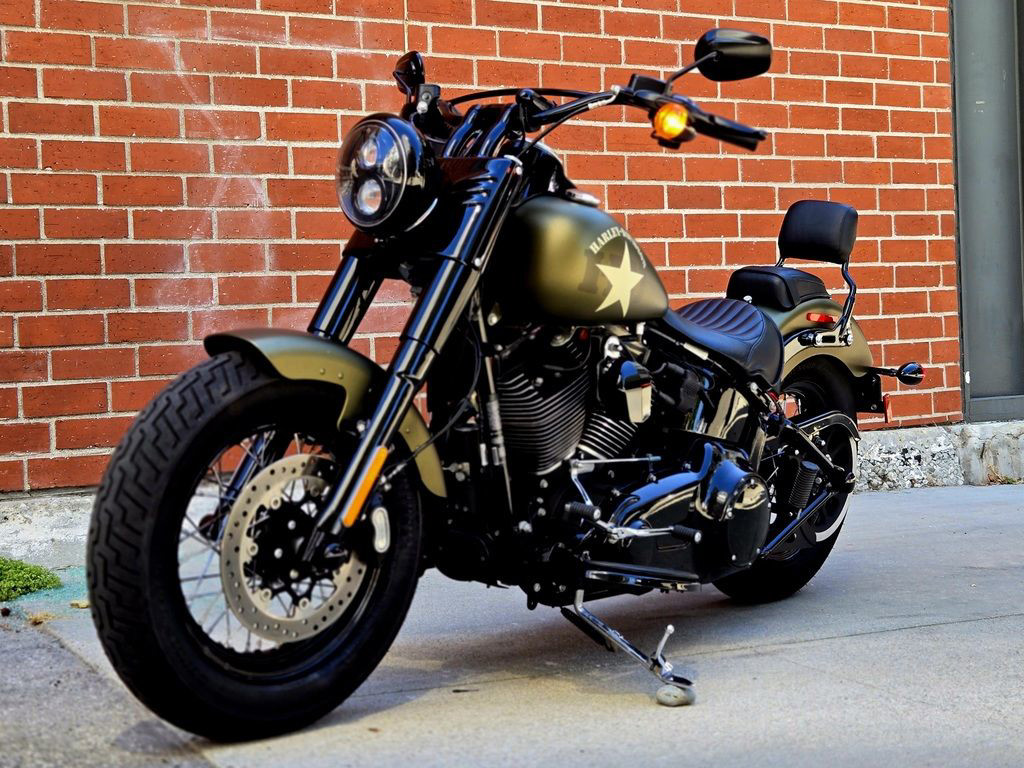 Softail® Slim® S