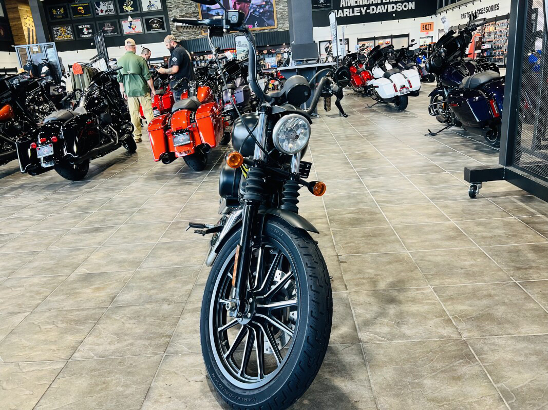 Sportster® Iron 883®