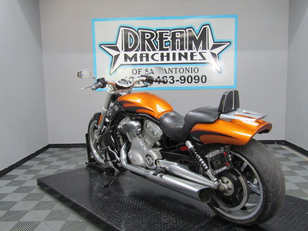V-Rod® Muscle