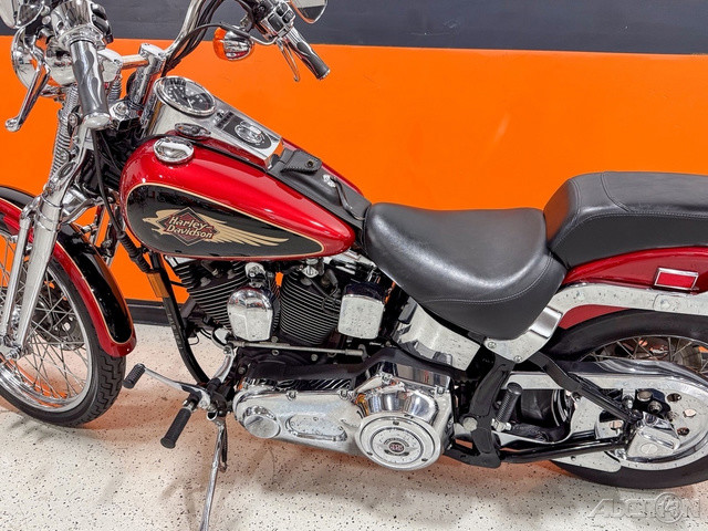 Springer® Softail®