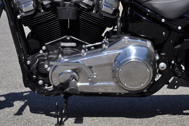 Softail® Standard