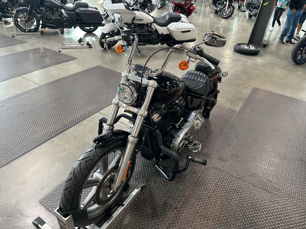 Softail® Standard