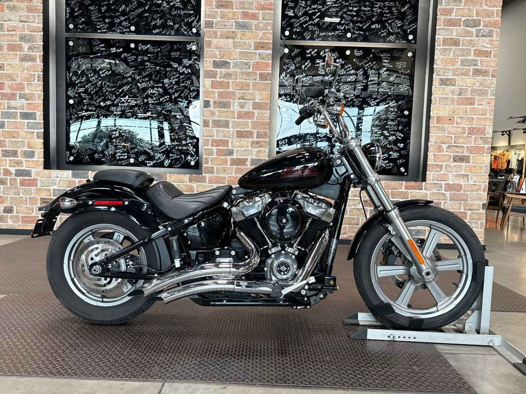 Softail® Standard