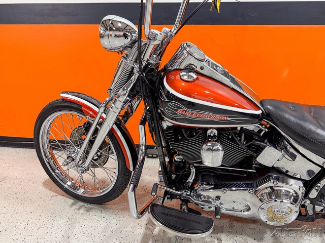 Softail® Springer® Classic