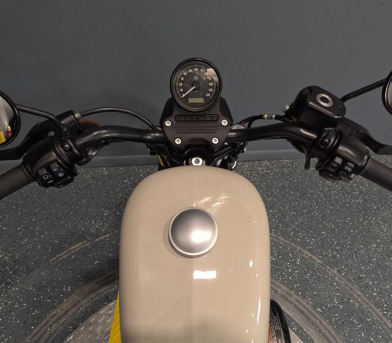 Iron 883®
