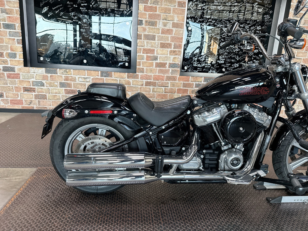 Softail® Standard