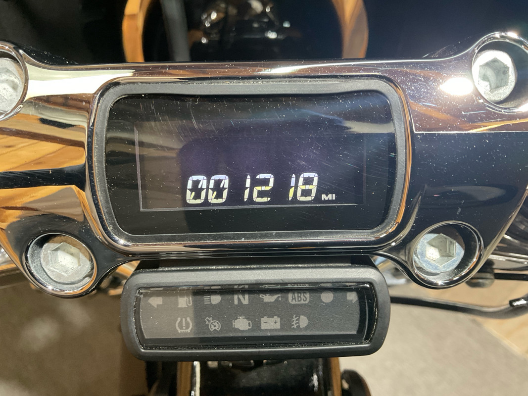 Softail® Standard