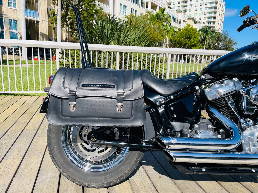 Softail® Standard