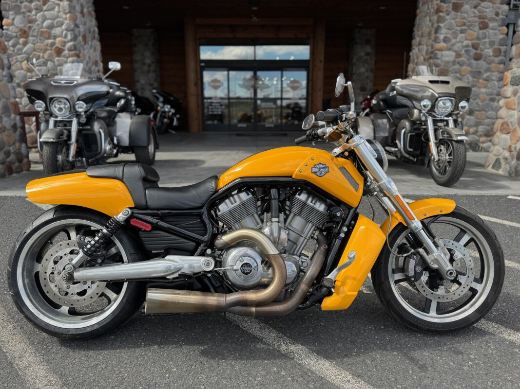 V-Rod® Muscle®