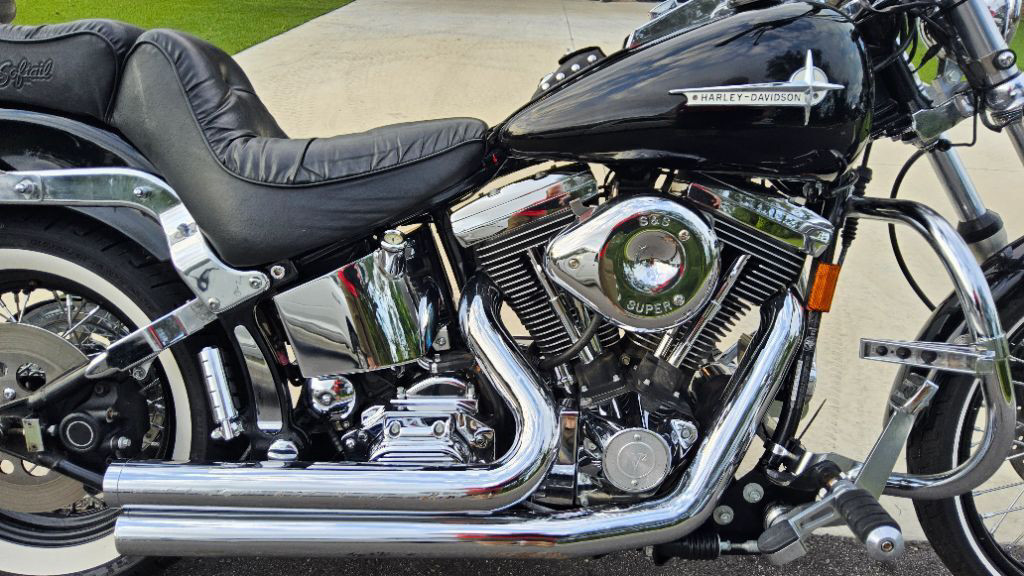 Softail® Custom