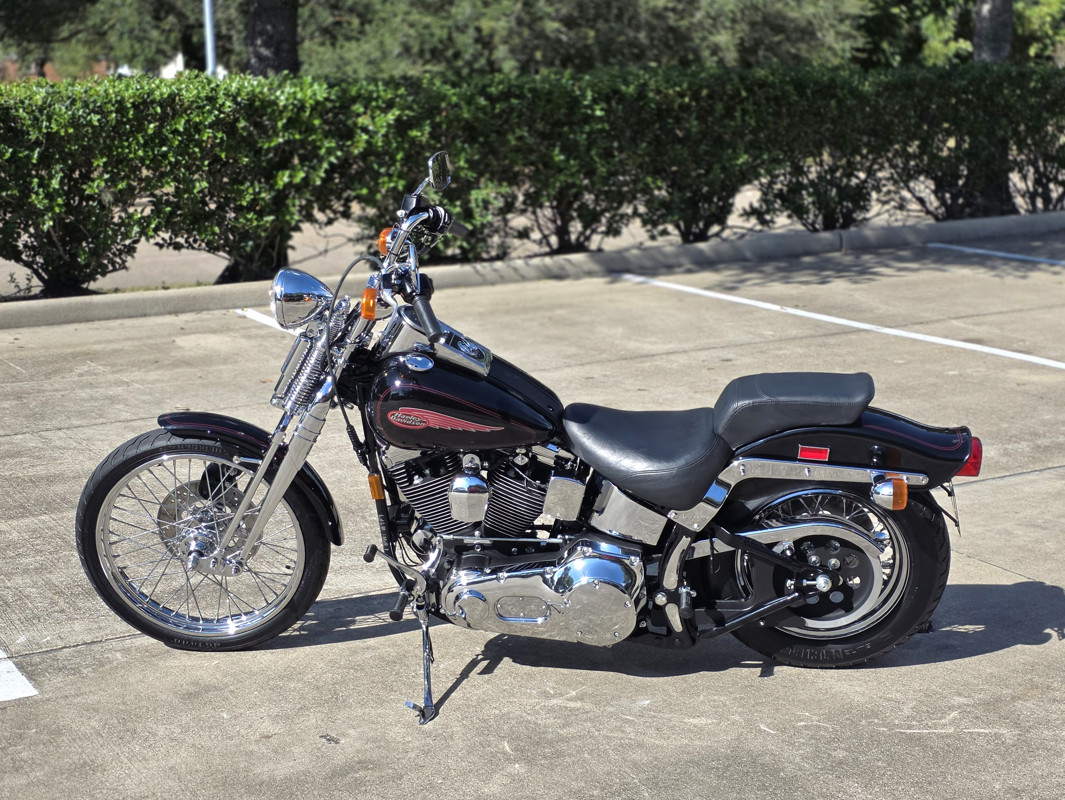 Springer® Softail®