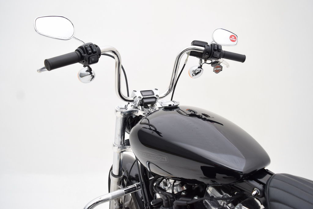 Softail® Standard