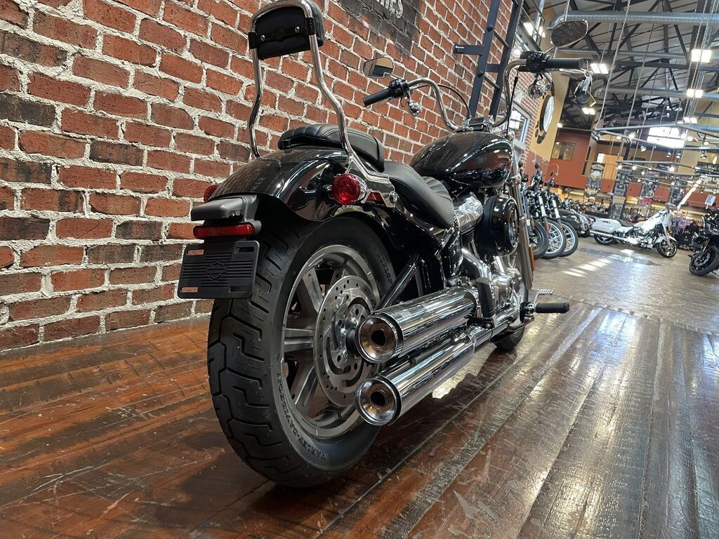 Softail® Standard