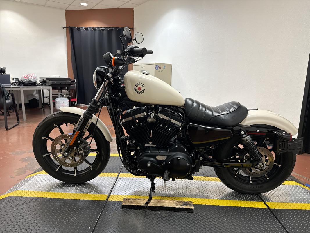 Iron 883®