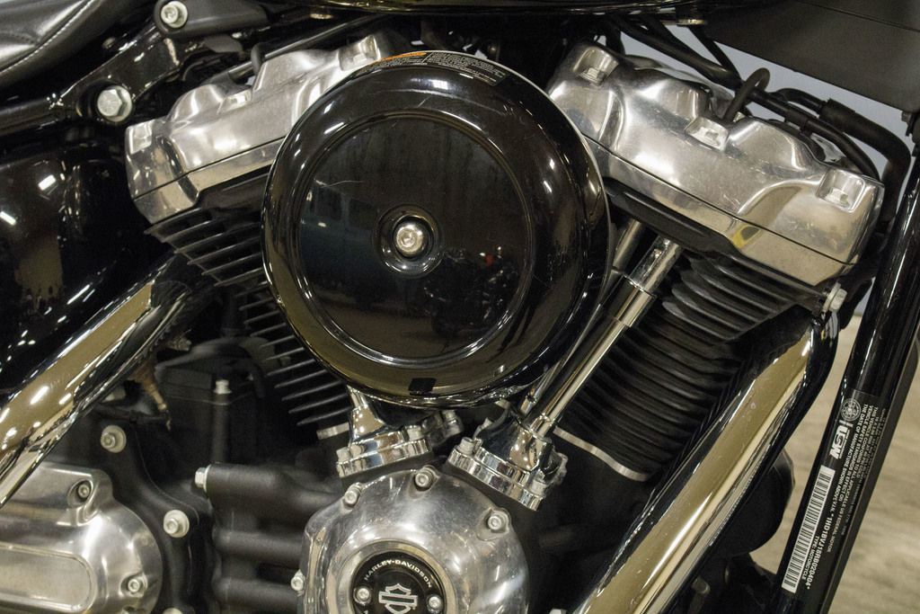 Softail® Standard