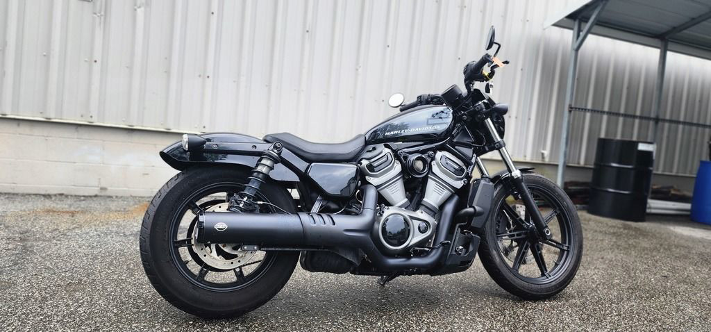 Nightster