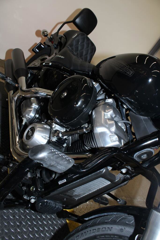 Softail® Standard