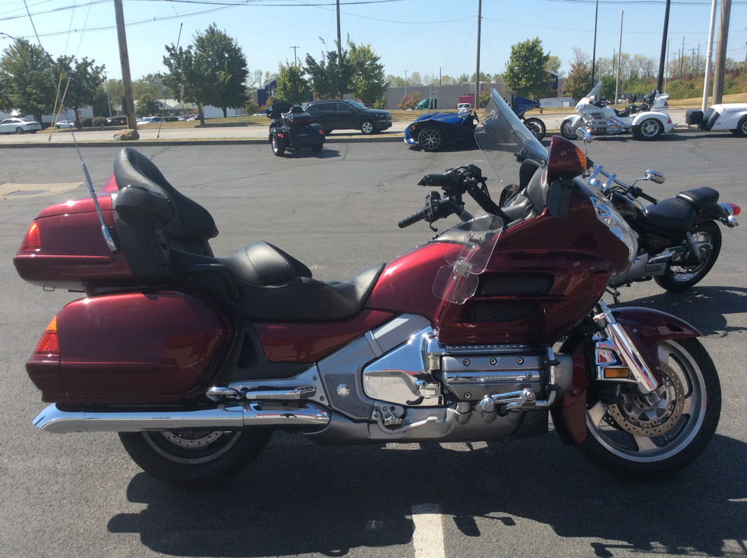 Gold Wing