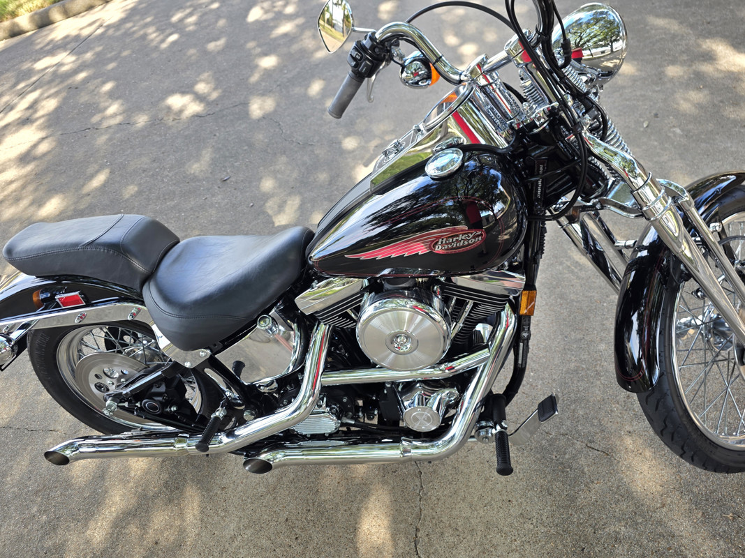 Springer® Softail®