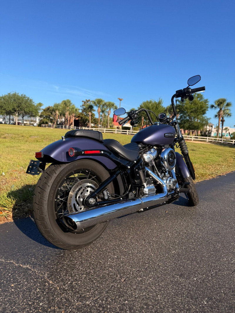Street Bob®